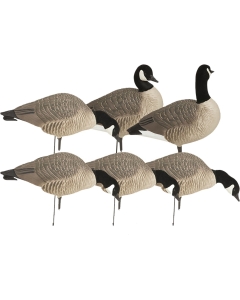 GHG Hunter Series Canadas - Harvester 6 Pack